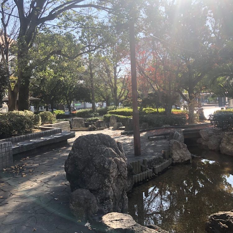 タッキーさんが投稿したおいしいごはん本舗に関する口コミの画像