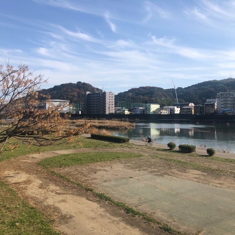 タッキーさんが投稿したつみくさに関する口コミの画像