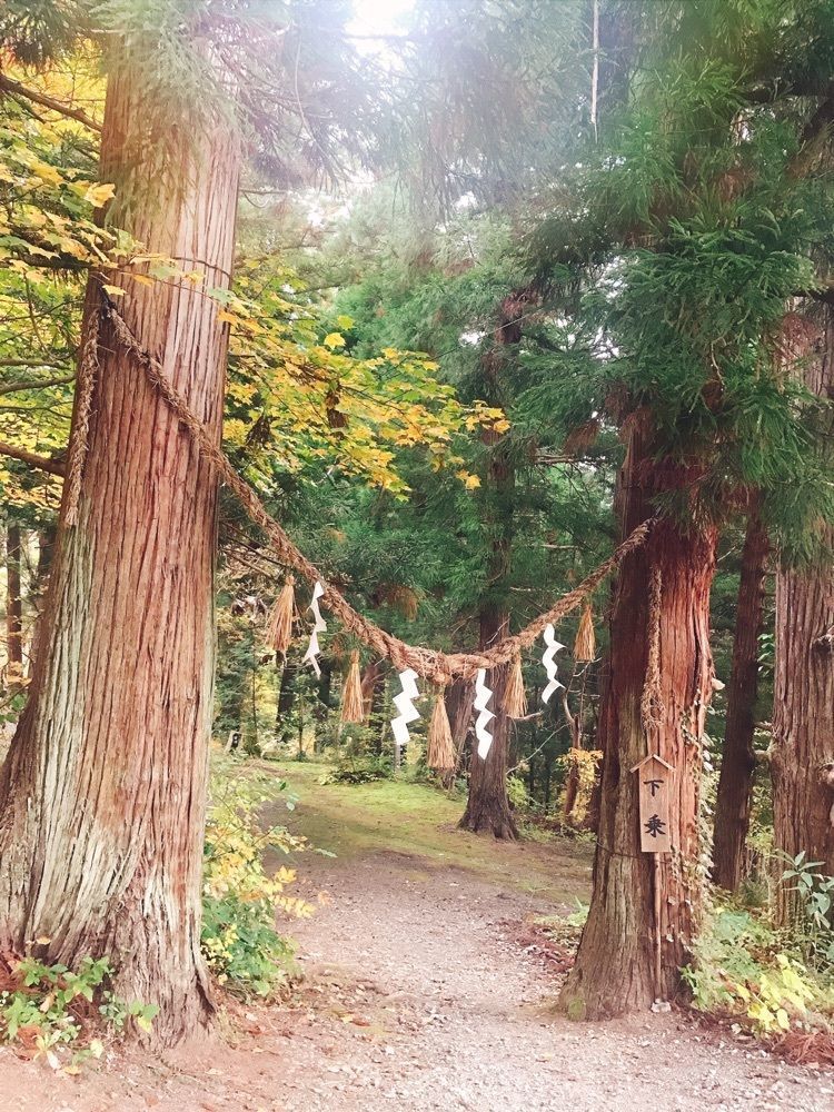 猫なぎ。さんが投稿した浮島稲荷神社に関する口コミの画像