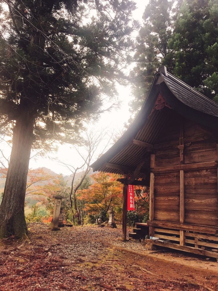 猫なぎ。さんが投稿した浮島稲荷神社に関する口コミの画像