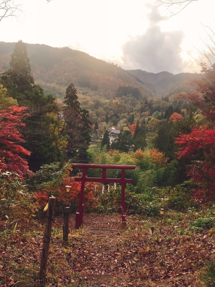 猫なぎ。さんが投稿した浮島稲荷神社に関する口コミの画像