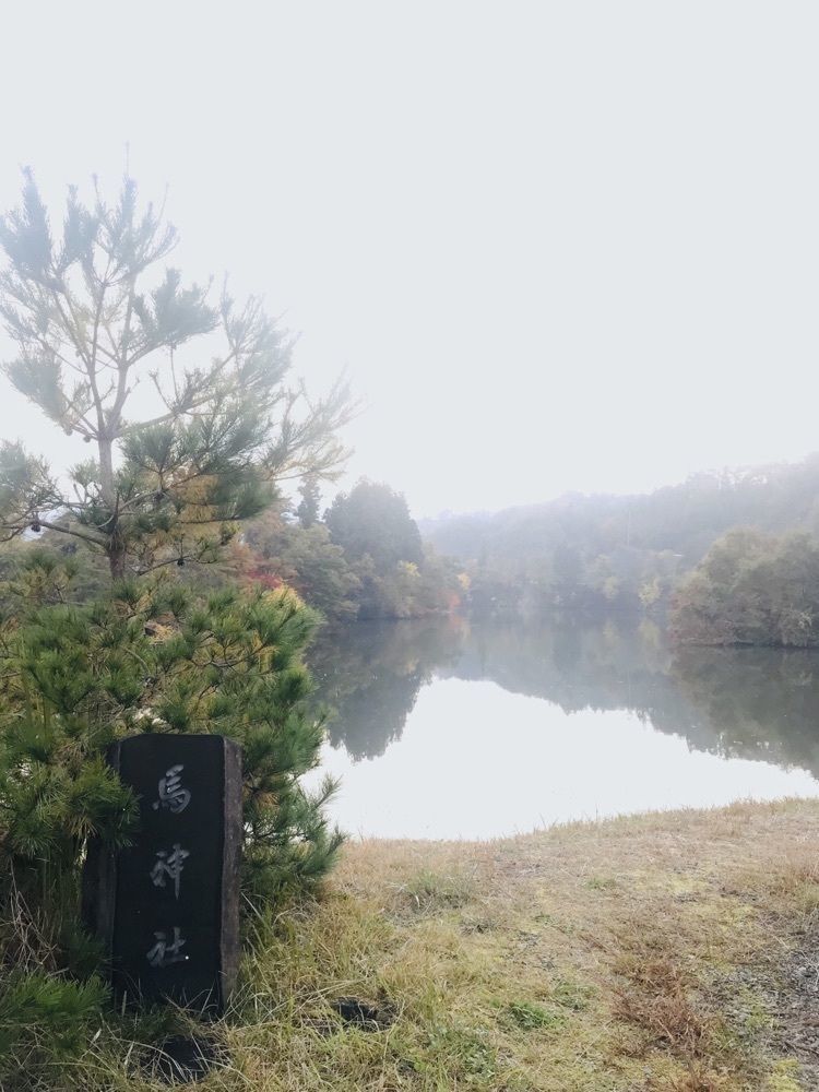 猫なぎ。さんが投稿した馬神池に関する口コミの画像