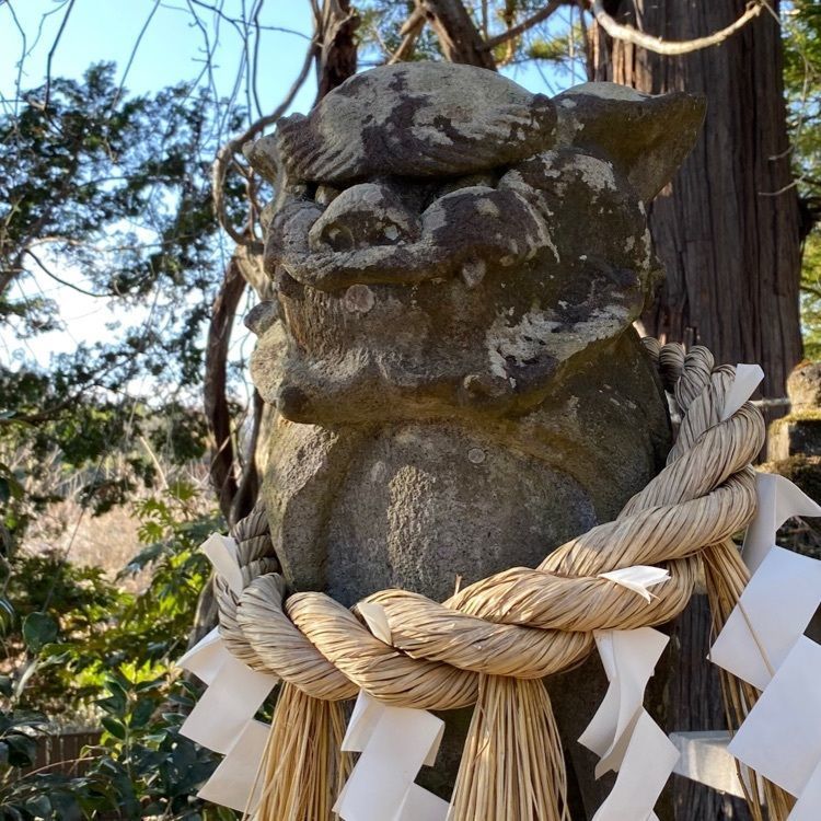 かめ_メグミさんが投稿した奥州の蛇藤に関する口コミの画像