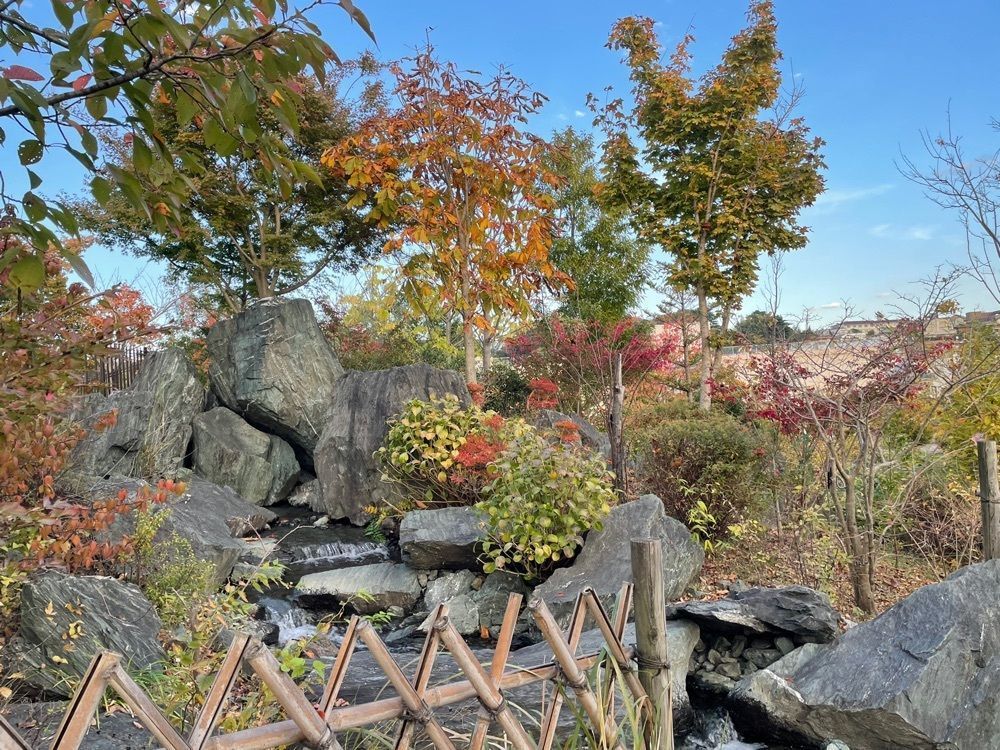 たくみさんが投稿した二子玉川公園に関する口コミの画像