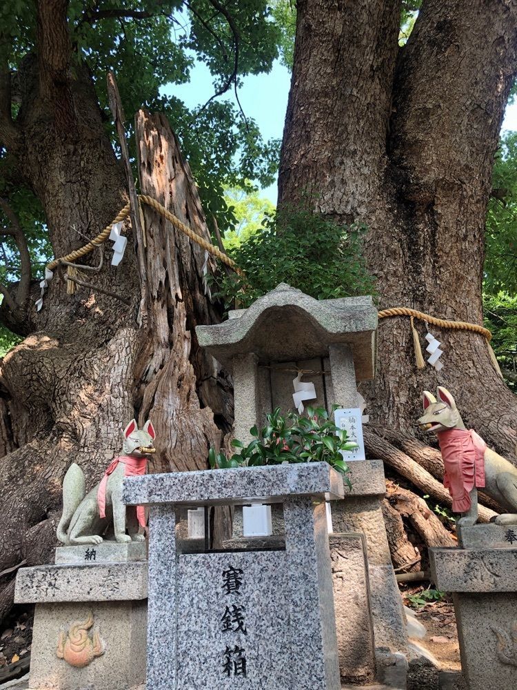 花＊花さんが投稿した葛葉稲荷神社に関する口コミの画像