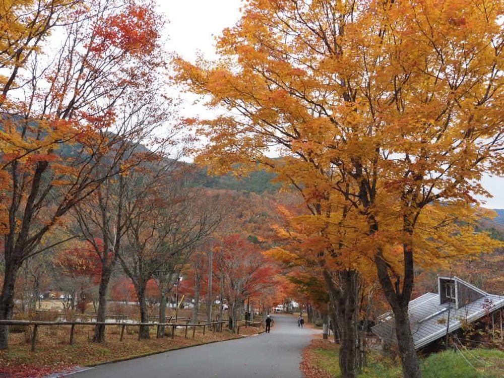 Howl Monさんが投稿した治部坂峠に関する口コミの画像