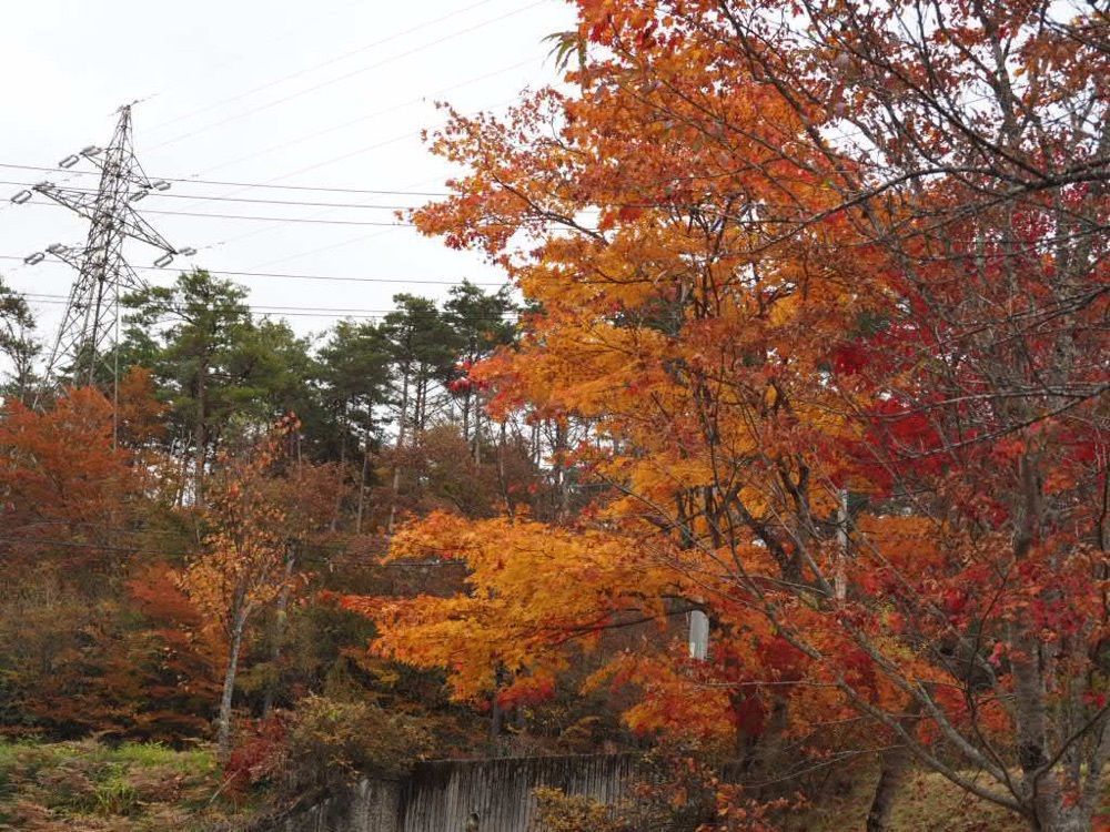 Howl Monさんが投稿した治部坂峠に関する口コミの画像