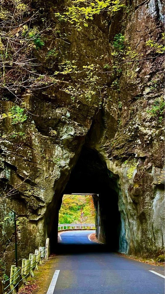 96_take4さんが投稿した面河山岳博物館に関する口コミの画像