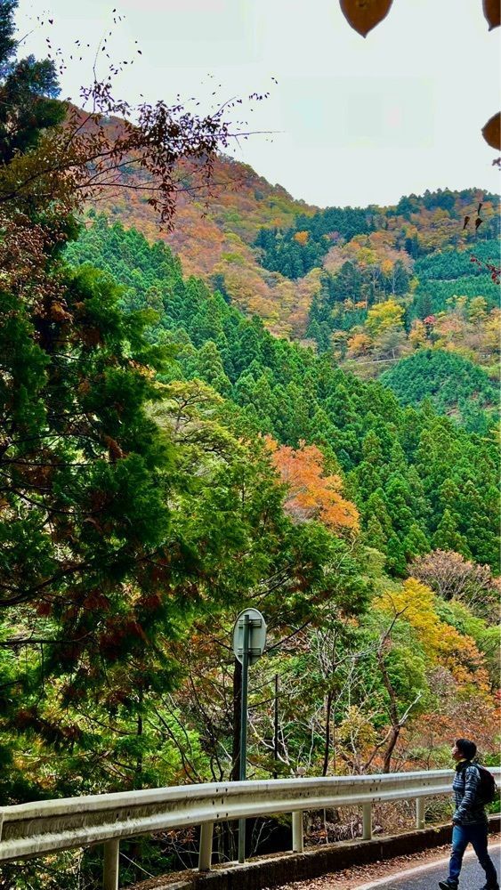 96_take4さんが投稿した面河山岳博物館に関する口コミの画像