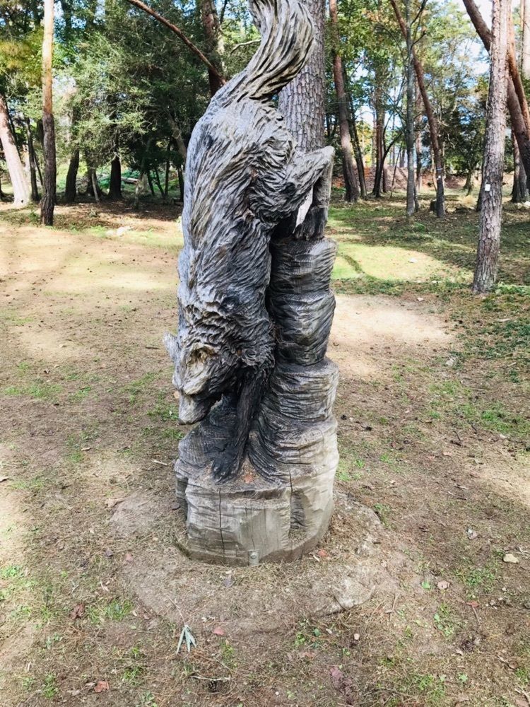 brave777さんが投稿した北播磨余暇村公園に関する口コミの画像