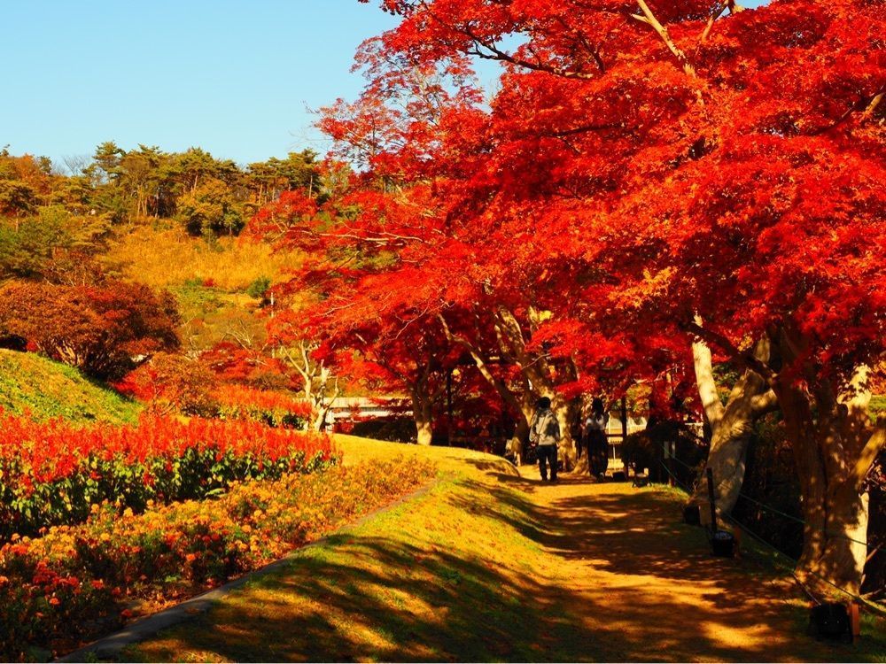 Shoさんが投稿した蛇ノ鼻御殿に関する口コミの画像