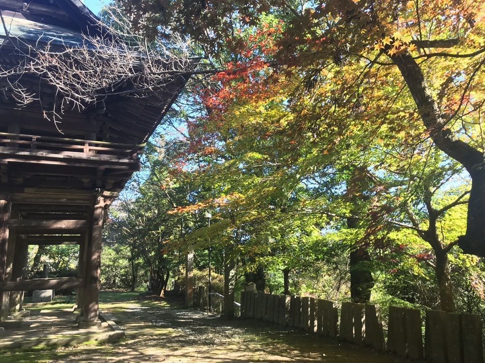 キングチェリーさんが投稿した御調八幡宮に関する口コミの画像