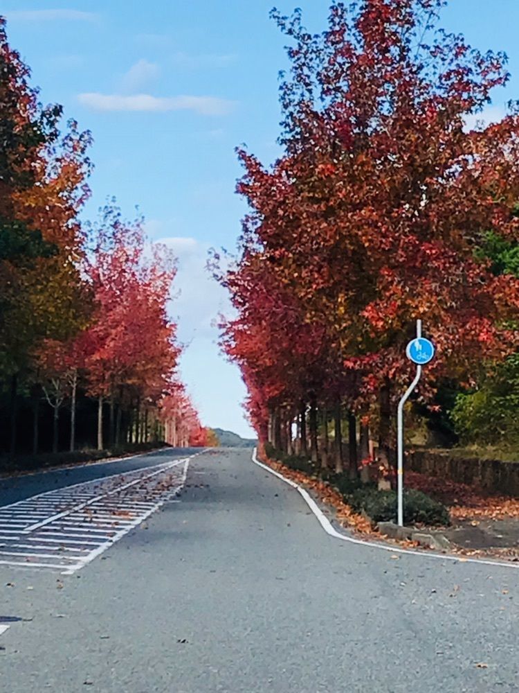 brave777さんが投稿した翠明湖に関する口コミの画像