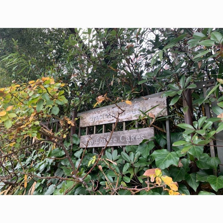 autumn1006さんが投稿したヒアシンスハウス（HYACINTH HOUSE）に関する口コミの画像