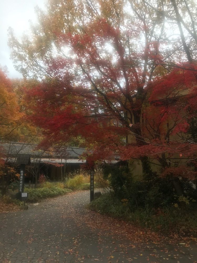 ラリホーさんが投稿した寒の地獄旅館に関する口コミの画像
