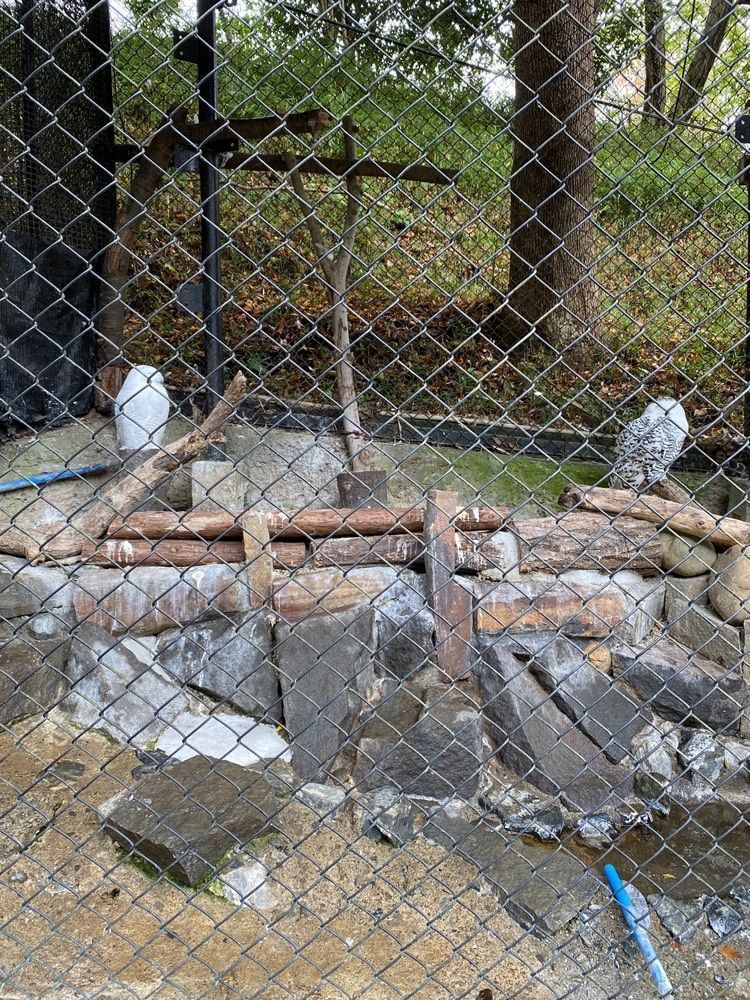 haruさんが投稿した多摩動物公園 コアラ下売店に関する口コミの画像