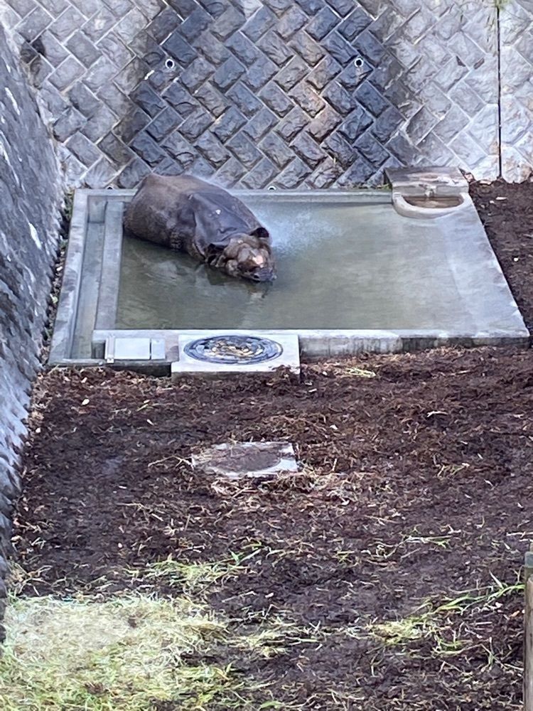 haruさんが投稿した多摩動物公園 コアラ下売店に関する口コミの画像