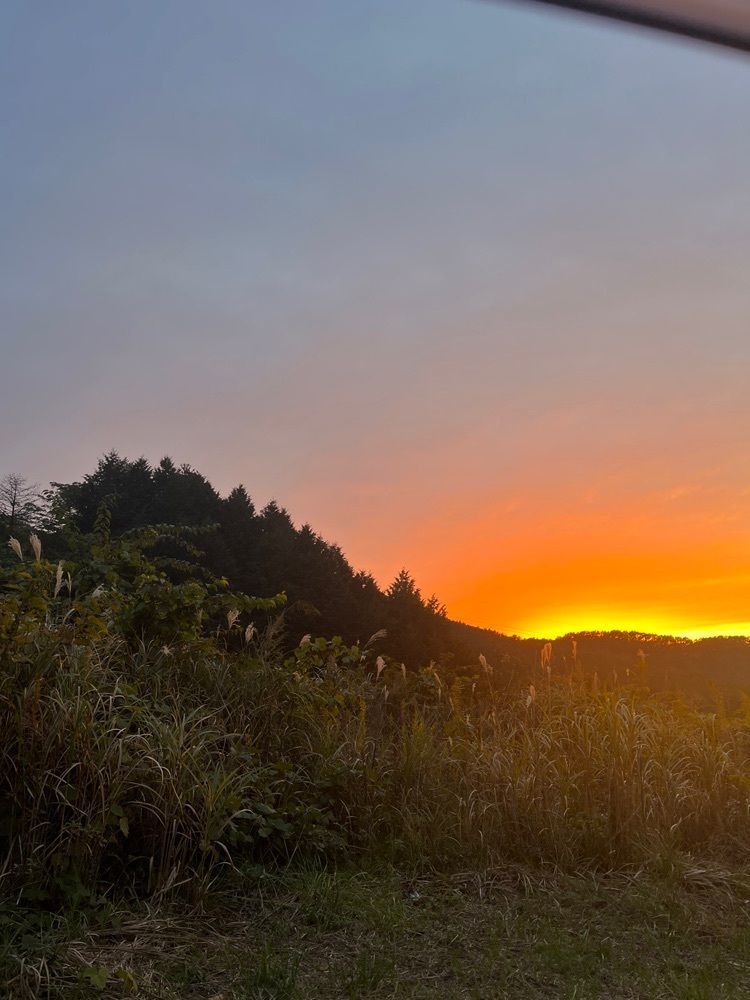 おっさん14号さんが投稿した龍頭峡に関する口コミの画像