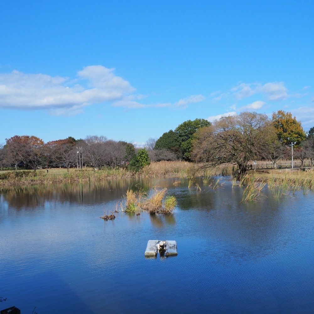 Shoさんが投稿した砂沼に関する口コミの画像