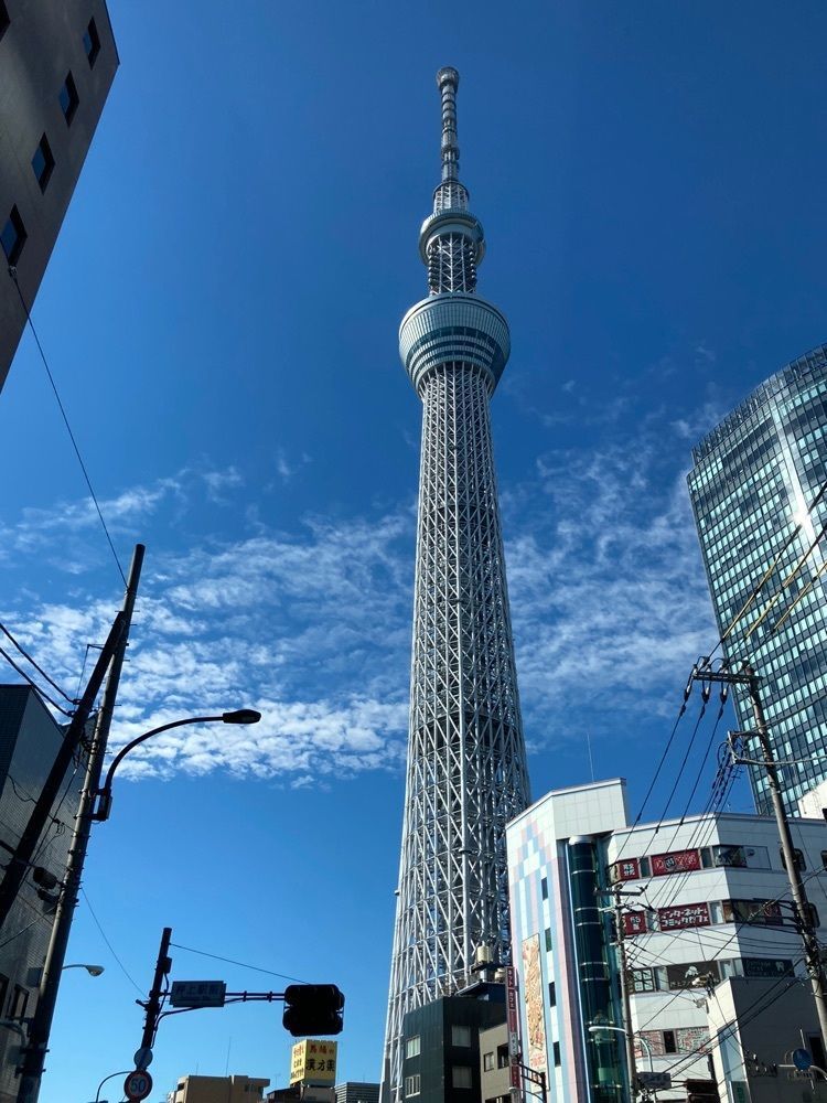 ハルさんが投稿した貝出汁らぁ麺 海美風 浅草店に関する口コミの画像