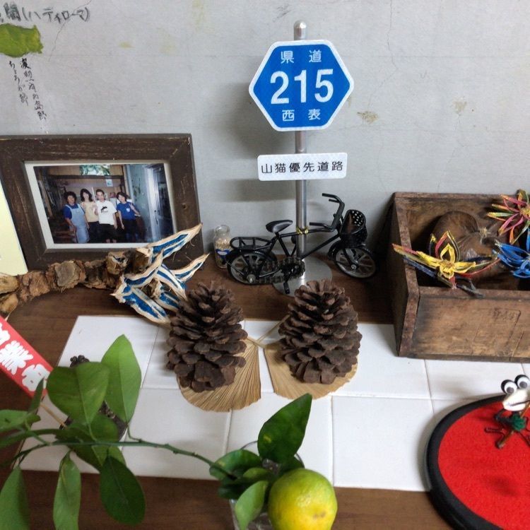 なんさんが投稿したデンサー食堂（でんさーしょくどう）に関する口コミの画像