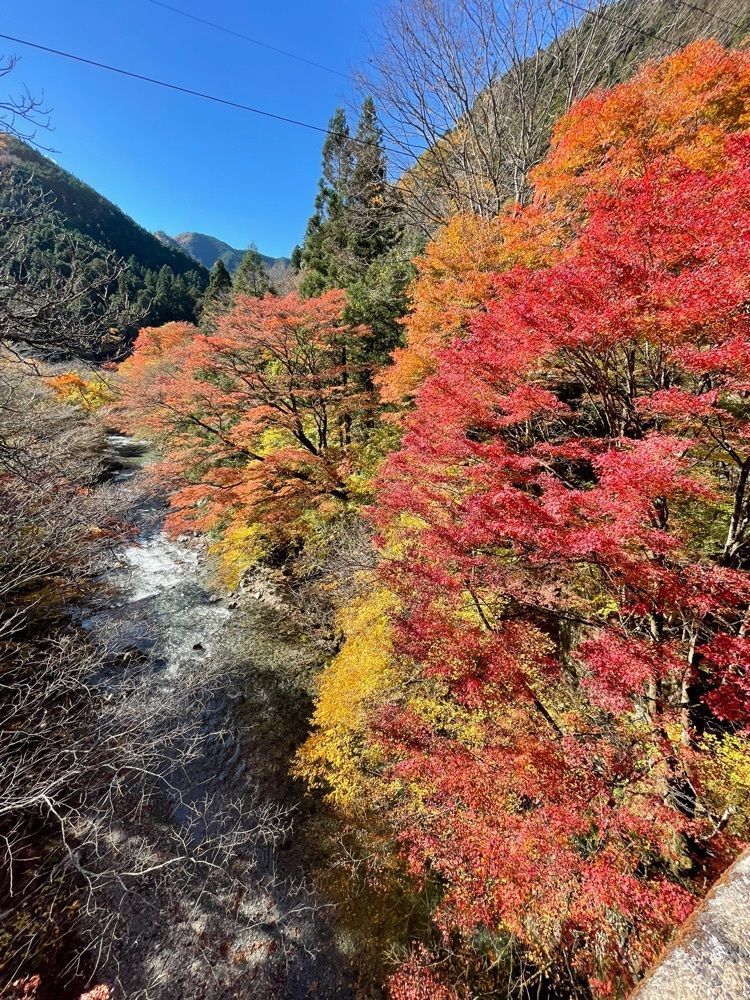 maaasanさんが投稿した大芦渓谷に関する口コミの画像