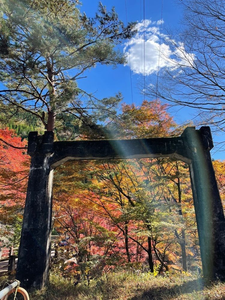 maaasanさんが投稿した大芦渓谷に関する口コミの画像