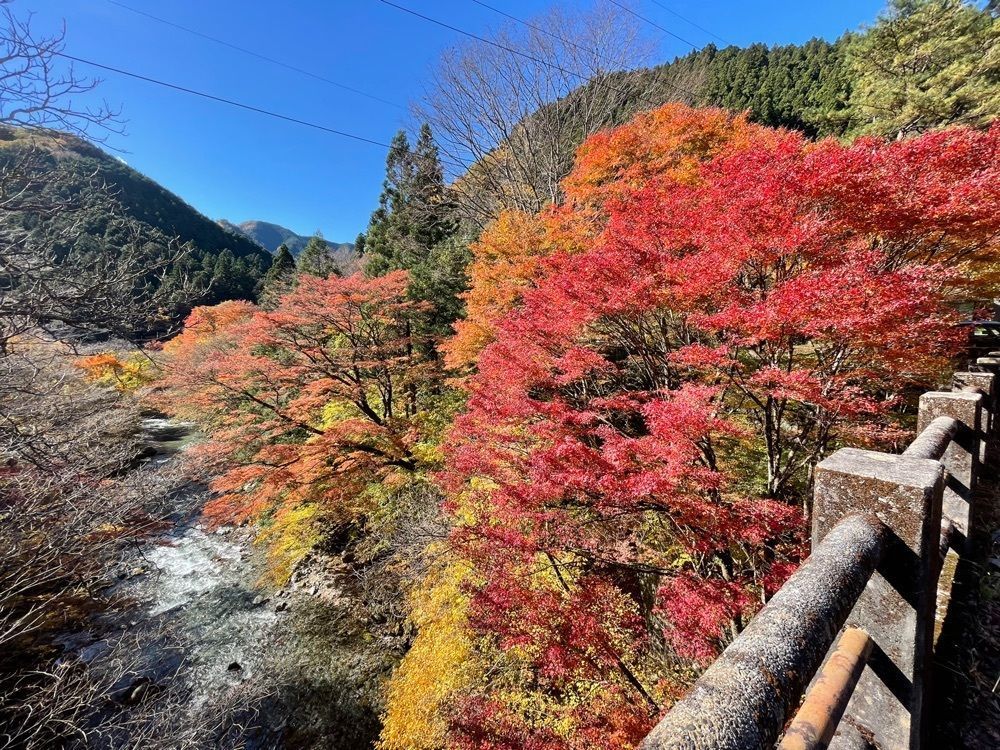 maaasanさんが投稿した大芦渓谷に関する口コミの画像