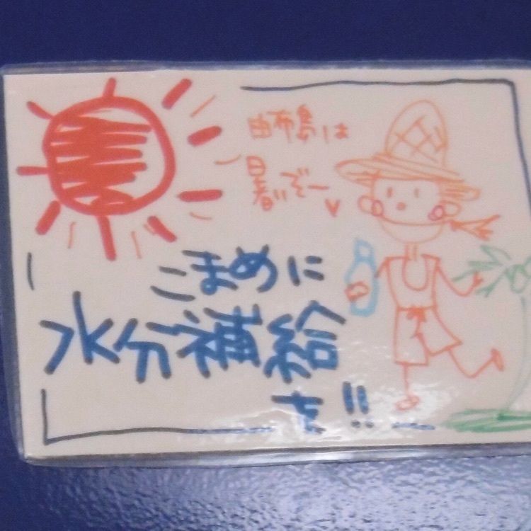 なんさんが投稿した亜熱帯植物楽園由布島に関する口コミの画像