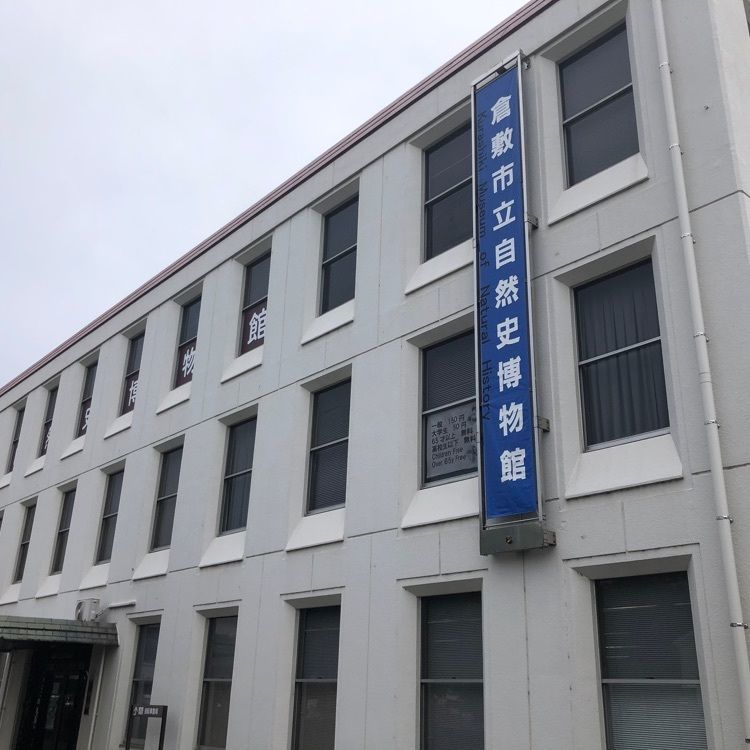 タッキーさんが投稿した倉敷市立自然史博物館に関する口コミの画像