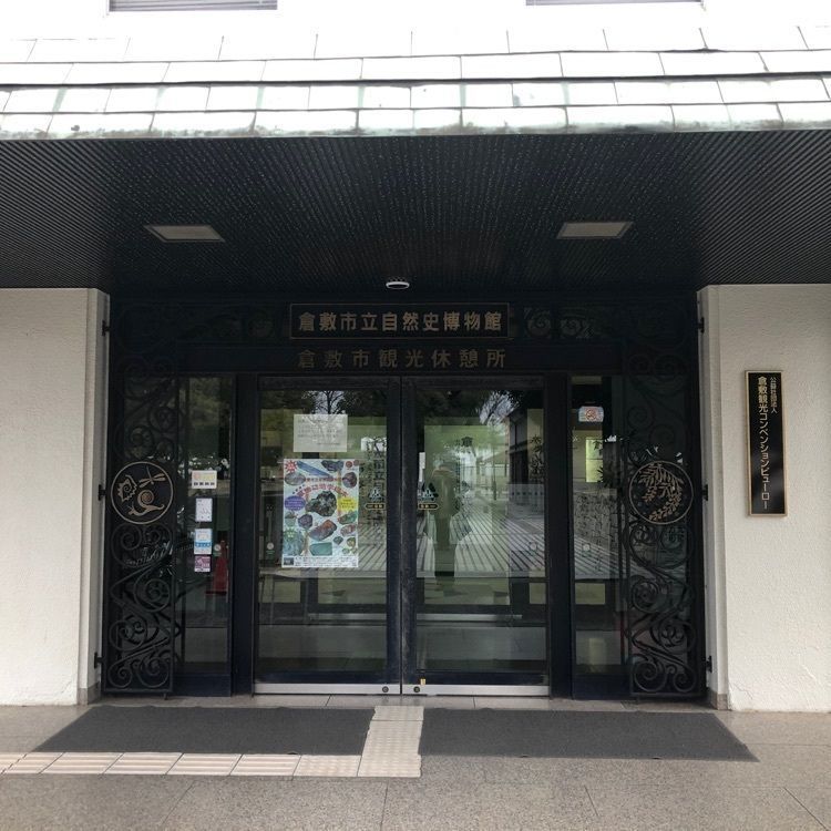 タッキーさんが投稿した倉敷市立自然史博物館に関する口コミの画像