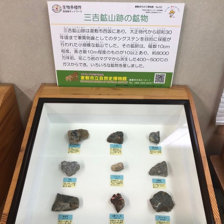タッキーさんが投稿した倉敷市立自然史博物館に関する口コミの画像