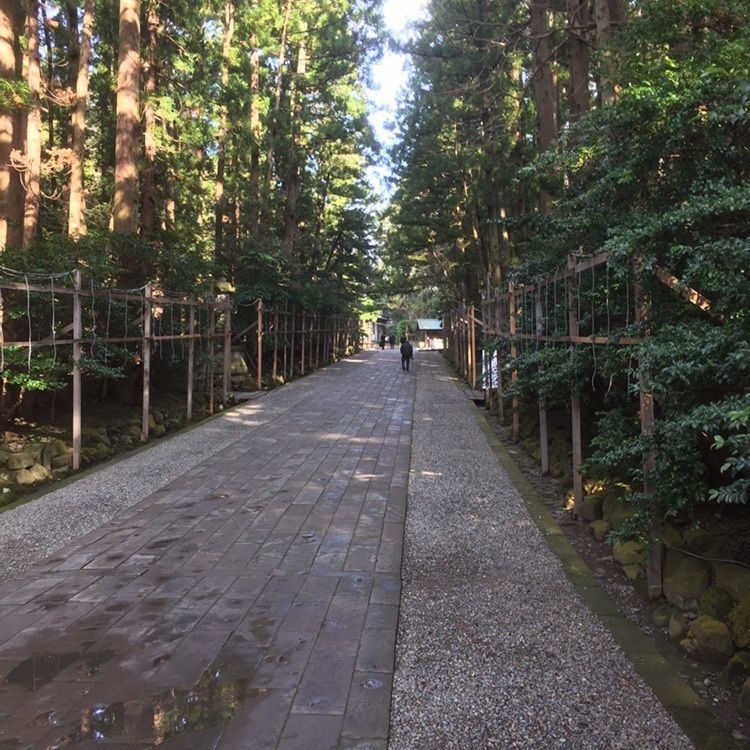 Masaru asaiさんが投稿した弥彦山ロープウェイ第5売店に関する口コミの画像