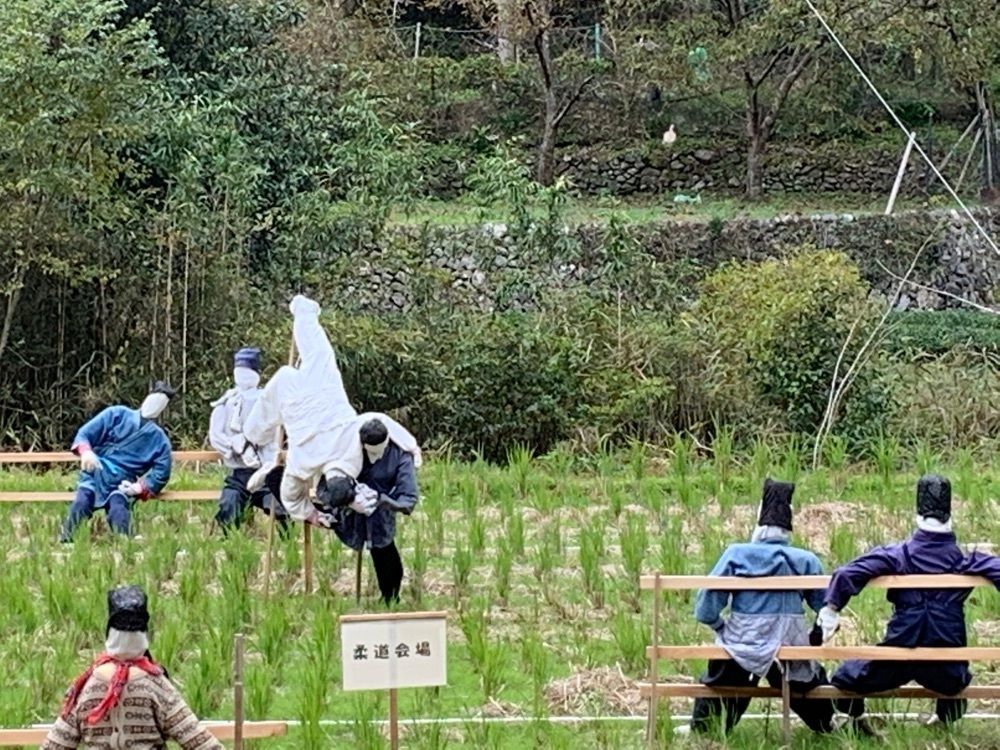 formal_cafeteria_8688さんが投稿した番匠川流域に関する口コミの画像