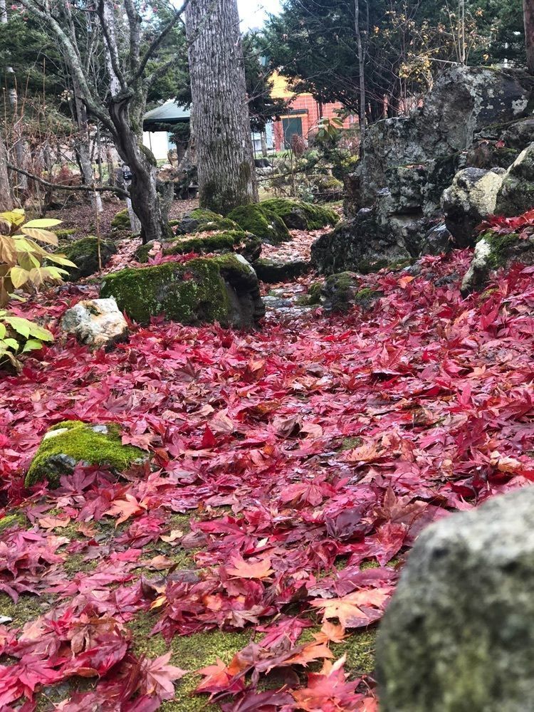 chama0430さんが投稿した興楽園に関する口コミの画像