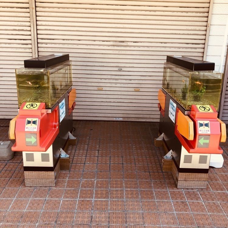 前サルさんが投稿したきんぎょcafe 柳楽屋・陽だまりに関する口コミの画像