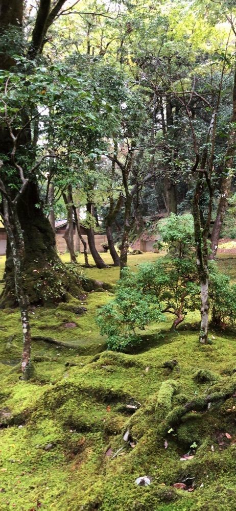 nicanさんが投稿した那谷寺庫裡庭園に関する口コミの画像