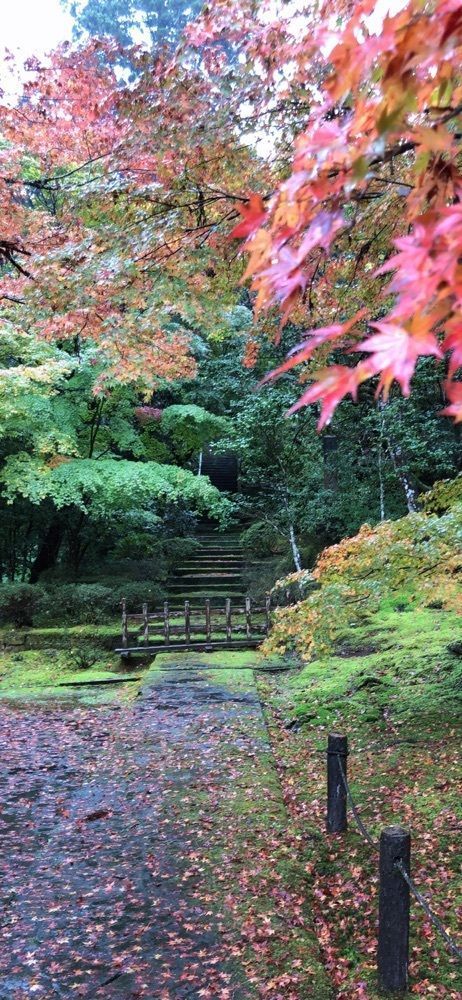 nicanさんが投稿した那谷寺庫裡庭園に関する口コミの画像