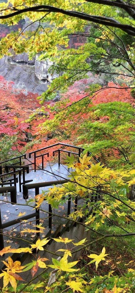 nicanさんが投稿した那谷寺庫裡庭園に関する口コミの画像