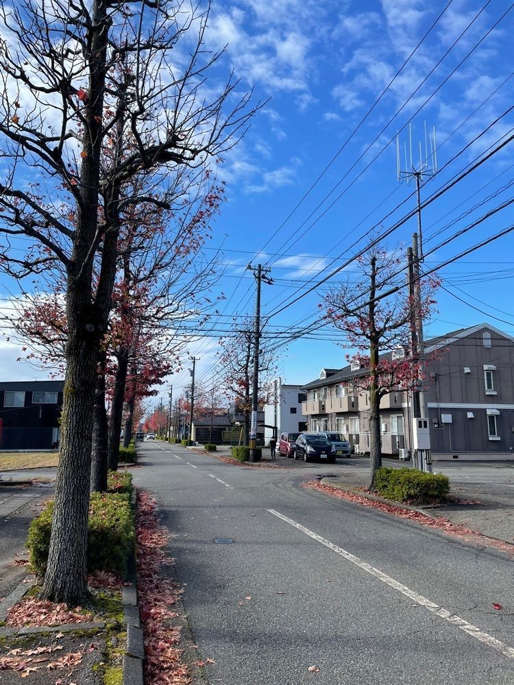 らぐ🏉🍺ビアさんが投稿したてらおか風舎 金沢店（てらおかふうしゃ）に関する口コミの画像