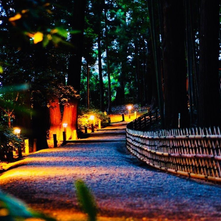#偕楽園 #茨城県