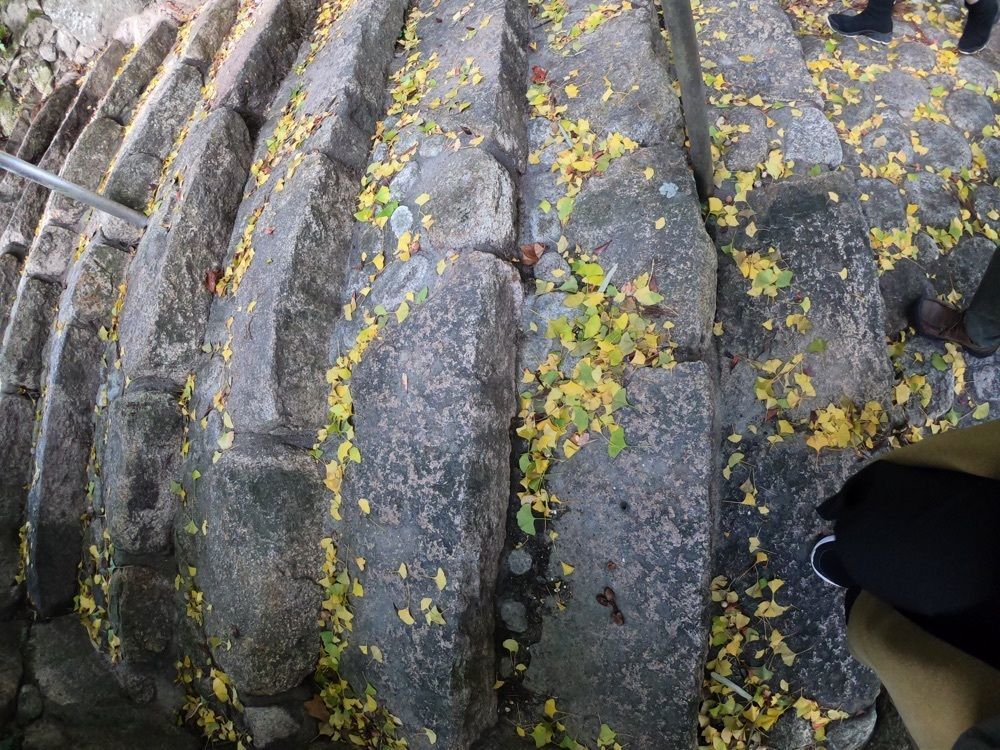 ruujunさんが投稿した鷲林寺の紅葉に関する口コミの画像