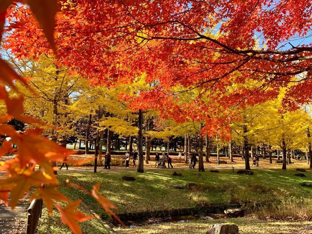 namake saruさんが投稿した公園レストラン（公園カフェテラス Park Cafe Terrace）に関する口コミの画像