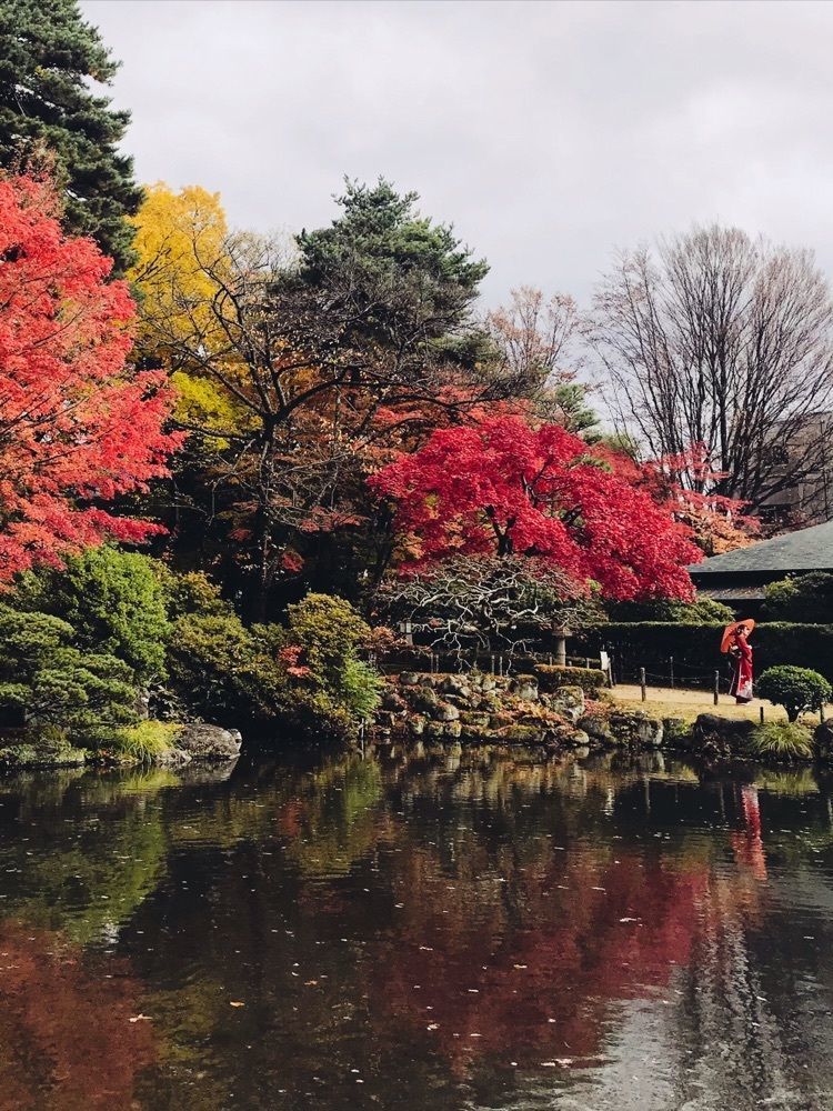 猫なぎ。さんが投稿した清風荘庭園（もみじ公園）に関する口コミの画像