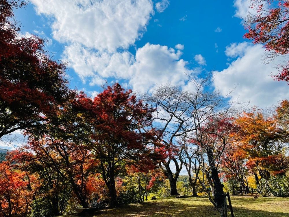 みーなさんが投稿した尾関山公園に関する口コミの画像