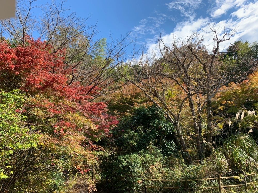 ステップさんが投稿した不退寺に関する口コミの画像