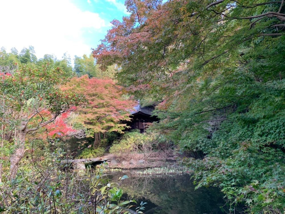 ステップさんが投稿した不退寺に関する口コミの画像