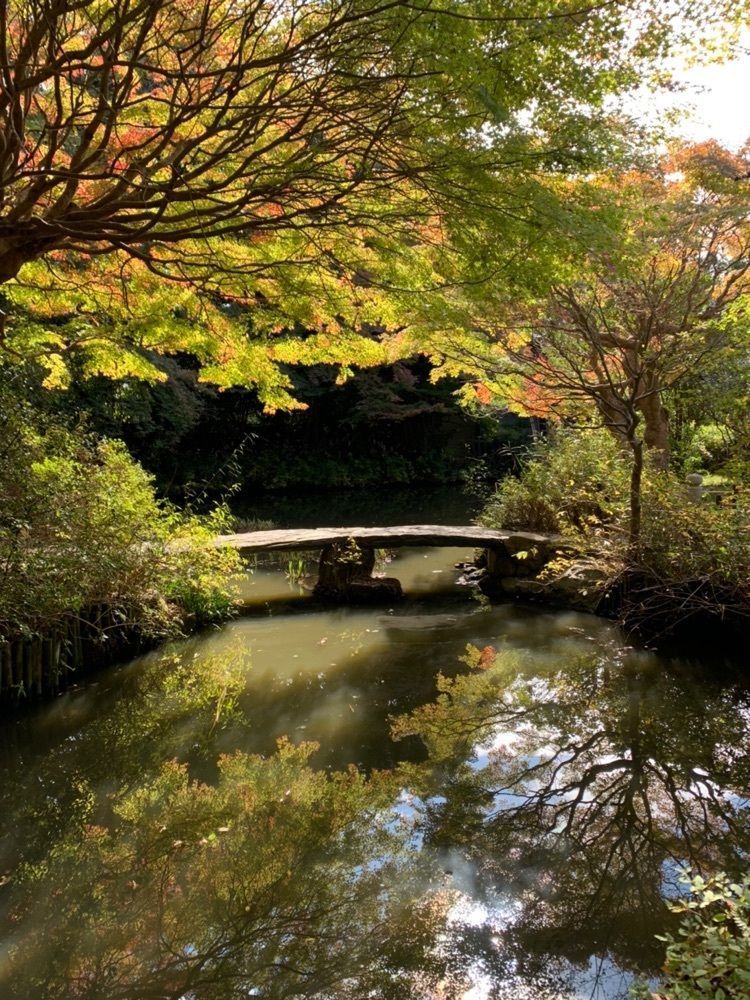 ステップさんが投稿した不退寺に関する口コミの画像
