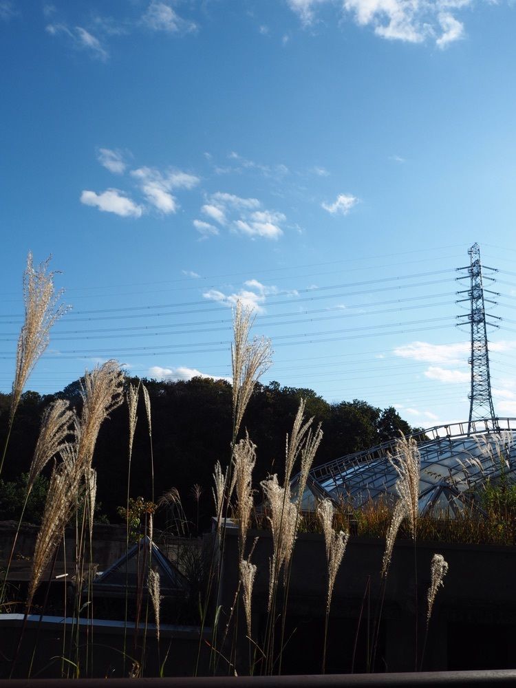 しぃさんが投稿した多摩動物公園駅に関する口コミの画像