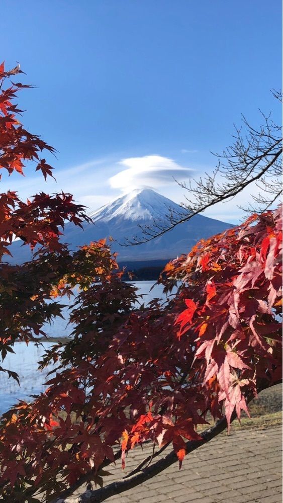 take.aさんが投稿した河口湖に関する口コミの画像